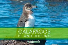 2-islas-galpagos-santa-cruz-agencias-de-viajes-ecuador