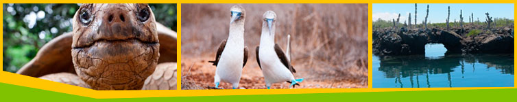 3-ISLANDS-SANTA-CRUZ-DAPHNE-ISABELA-galapagos-tours-operator-ecuador