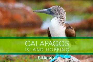 3-islas-galpagos-santa-cruz-agencias-de-viajes-ecuador