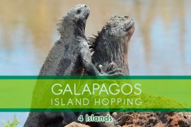 4-islas-galpagos-santa-cruz-agencias-de-viajes-ecuador