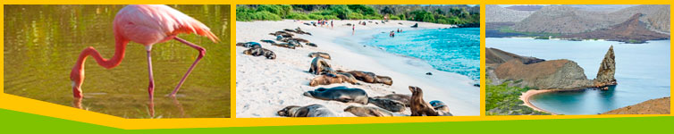 5-islands-isabela-santa-cruz-santa-fe-floreana-bartolome-galapagos-last-minute