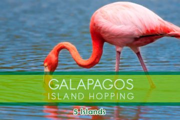 5-islas-galpagos-santa-cruz-agencias-de-viajes-ecuador