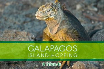 8-islas-galpagos-santa-cruz-agencias-de-viajes-ecuador