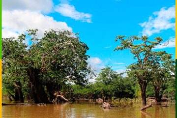 cuyabeno-prices-amazon-jungle-ecuador