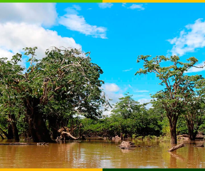 cuyabeno-prices-amazon-jungle-ecuador