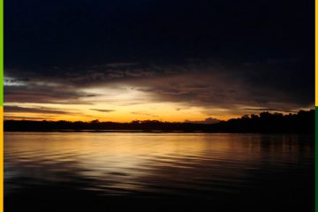 cuyabeno-rowin-amazon-jungle-ecuador