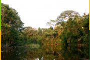 cuyabeno-rowin-amazon-jungle-ecuador