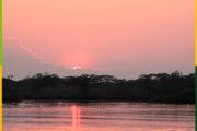 cuyabeno-rowin-amazon-jungle-ecuador