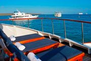 eden-tourist-superior-galapagos-southern-islands-budget-cruises3