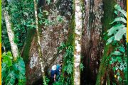 jungle-from-tena-ecuador-adventure-travel