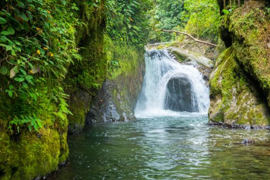 mindo-cloud-forest-private-daily-tours-ecuador