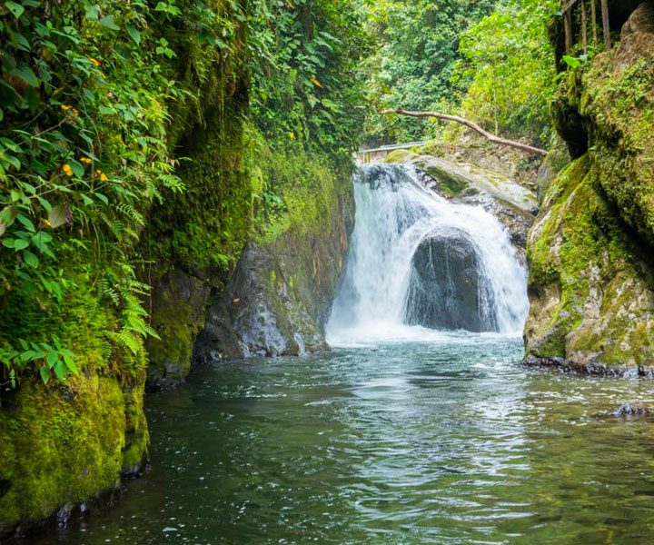 mindo-cloud-forest-private-daily-tours-ecuador