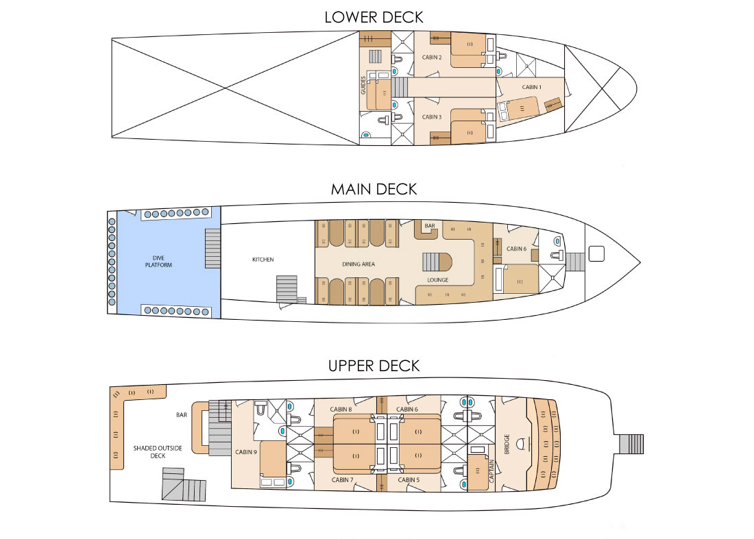 pinguino-deck