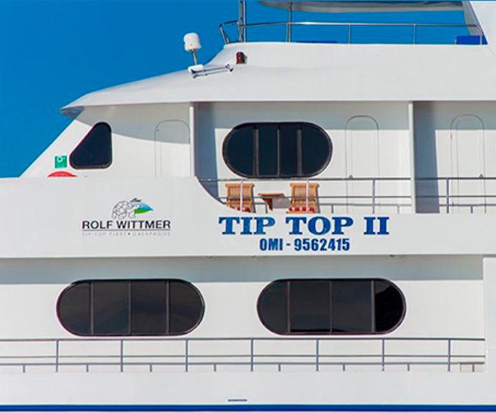 tiptop-travel-II-b