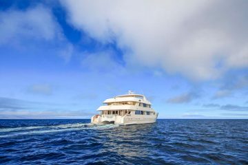 treasure-of-galapagos-c