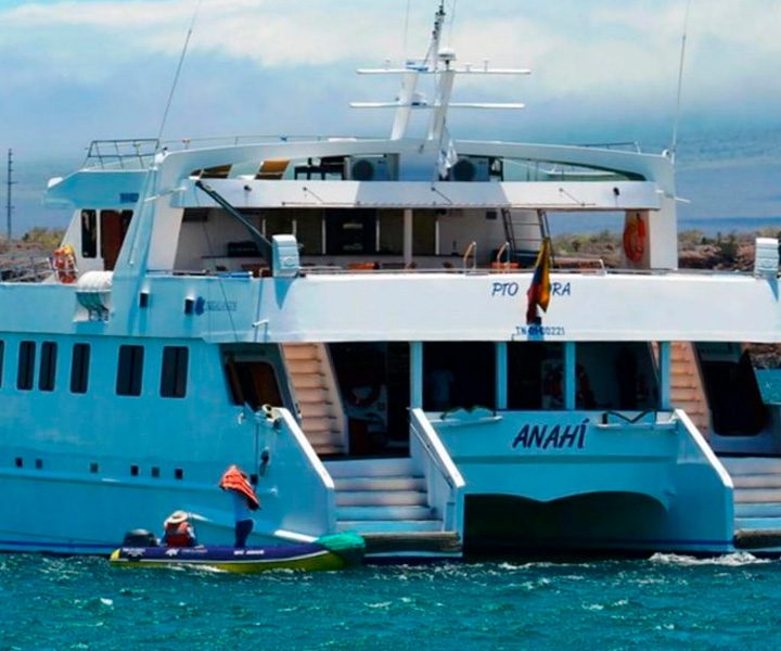 yacht-anahi-h