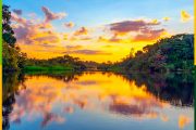 yasuni-national-park-amazon-jungle-ecuador